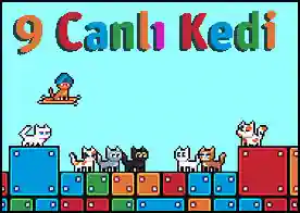 9 Canlı Kedi