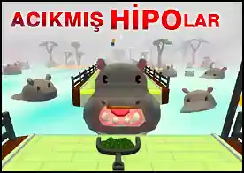 Acıkmış Hipolar