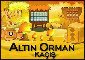 Altın Orman Kaçış