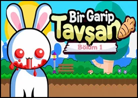 Bir Garip Tavşan