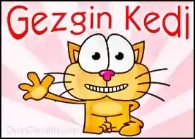 Gezgin Kedi