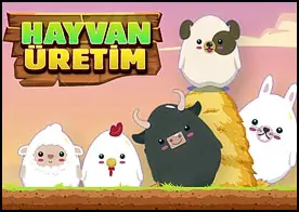 Hayvan Üretim