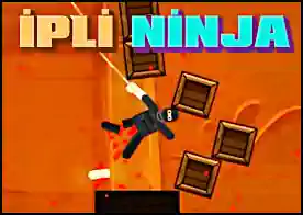 İpli Ninja