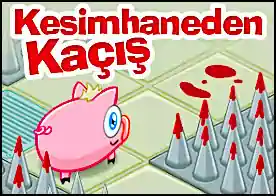 Kesimhaneden Kaçış