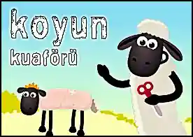 Koyun Kuaforü