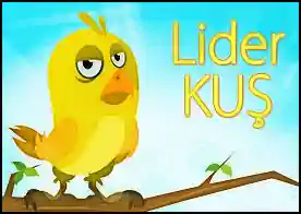 Lider Kuş