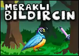 Meraklı Bıldırcın