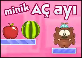 Minik Aç Ayı