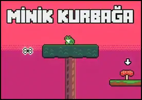 Minik Kurbağa