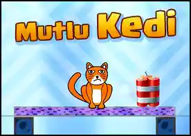 Mutlu Kedi 2