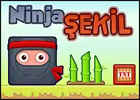 Ninja Şekil