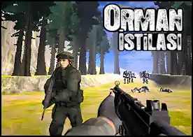 Orman İstilası