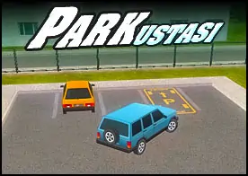 Park Ustası