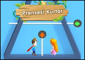 Prensesi Kurtar 2