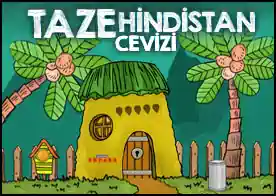 Taze Hindistan Cevizi