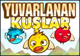 Yuvarlanan Kuşlar