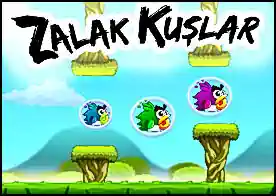 Zalak Kuşlar